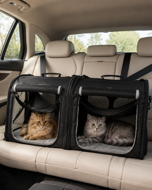 2-in-1 Foldable Pet Carrier